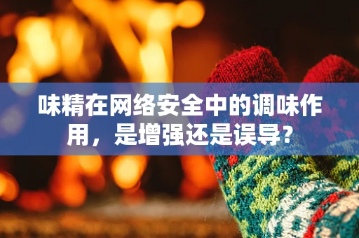 味精在网络安全中的调味作用，是增强还是误导？
