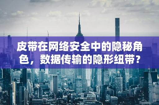 皮带在网络安全中的隐秘角色，数据传输的隐形纽带？