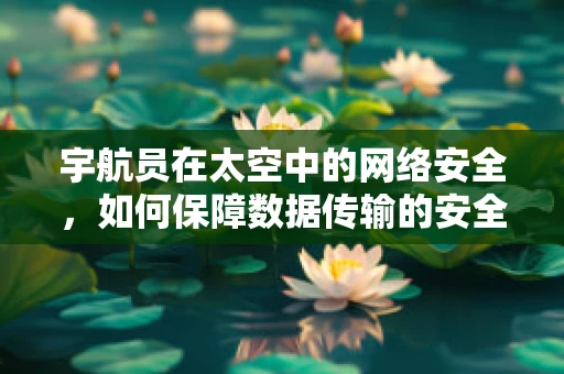 宇航员在太空中的网络安全，如何保障数据传输的安全？