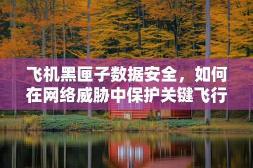 飞机黑匣子数据安全，如何在网络威胁中保护关键飞行信息？
