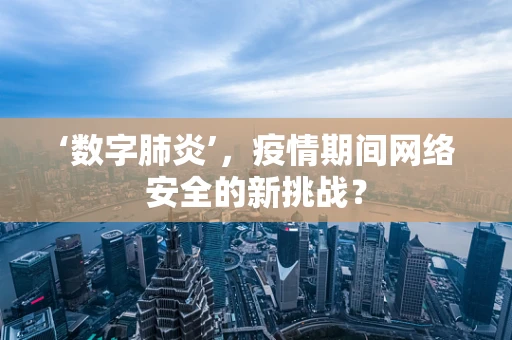 ‘数字肺炎’，疫情期间网络安全的新挑战？