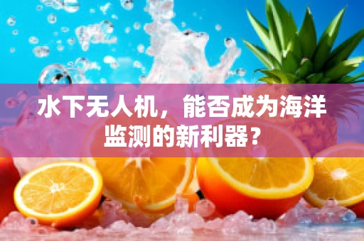 水下无人机，能否成为海洋监测的新利器？