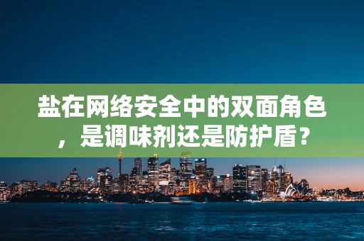 盐在网络安全中的双面角色，是调味剂还是防护盾？