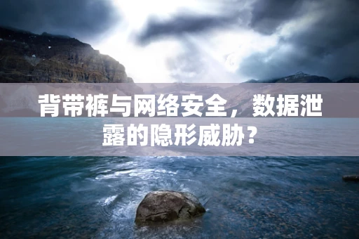 背带裤与网络安全，数据泄露的隐形威胁？
