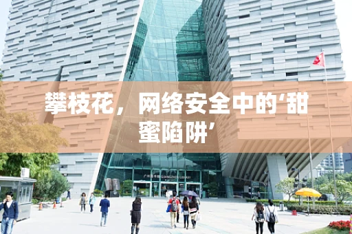 攀枝花，网络安全中的‘甜蜜陷阱’