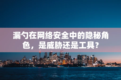 漏勺在网络安全中的隐秘角色，是威胁还是工具？