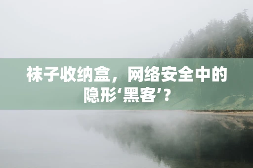 袜子收纳盒，网络安全中的隐形‘黑客’？