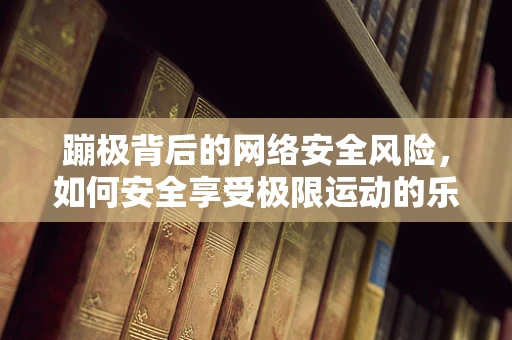 蹦极背后的网络安全风险，如何安全享受极限运动的乐趣？