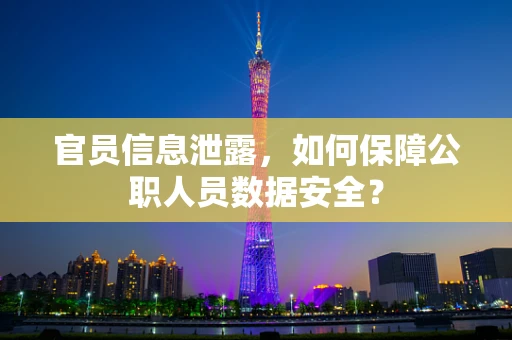 官员信息泄露，如何保障公职人员数据安全？