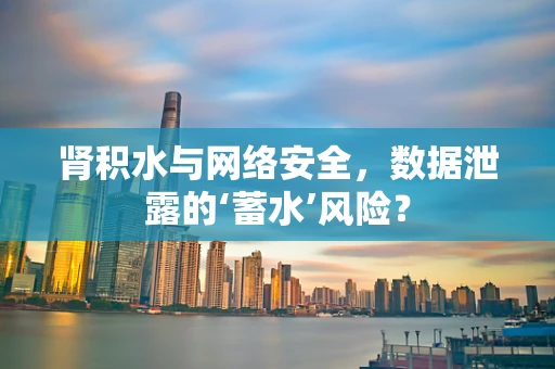 肾积水与网络安全，数据泄露的‘蓄水’风险？