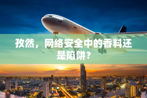 孜然，网络安全中的香料还是陷阱？