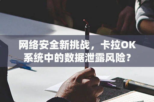 网络安全新挑战，卡拉OK系统中的数据泄露风险？
