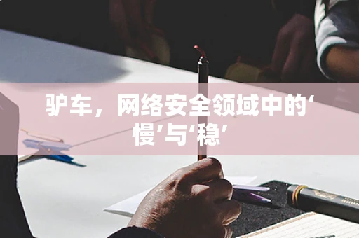 驴车，网络安全领域中的‘慢’与‘稳’