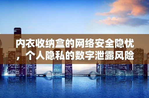 内衣收纳盒的网络安全隐忧，个人隐私的数字泄露风险？
