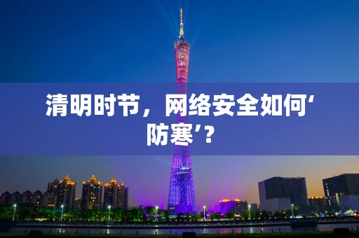 清明时节，网络安全如何‘防寒’？