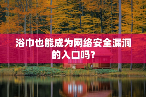 浴巾也能成为网络安全漏洞的入口吗？
