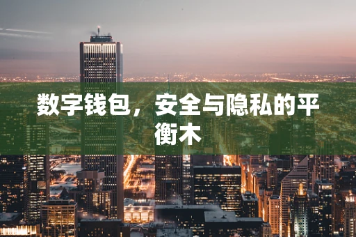 数字钱包，安全与隐私的平衡木