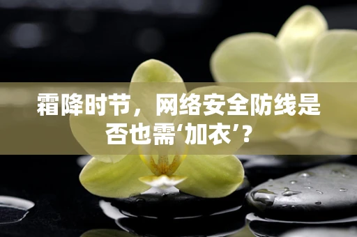 霜降时节，网络安全防线是否也需‘加衣’？