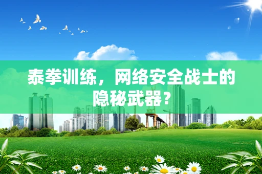 泰拳训练，网络安全战士的隐秘武器？