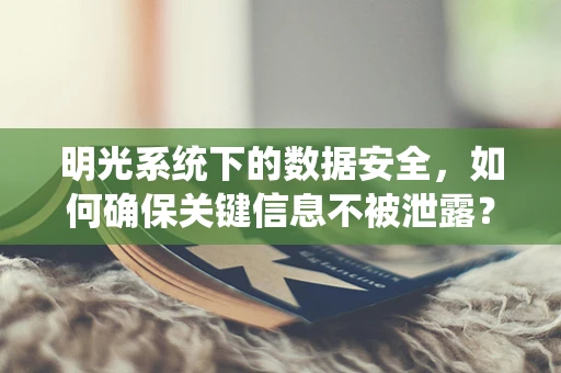 明光系统下的数据安全，如何确保关键信息不被泄露？
