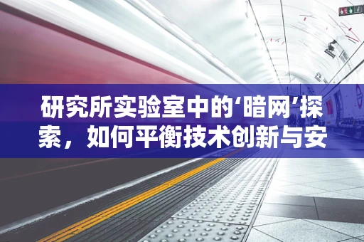 研究所实验室中的‘暗网’探索，如何平衡技术创新与安全风险？