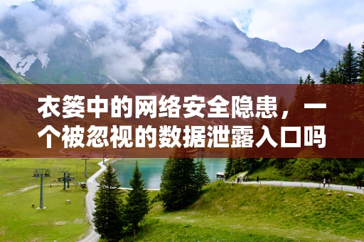 衣篓中的网络安全隐患，一个被忽视的数据泄露入口吗？