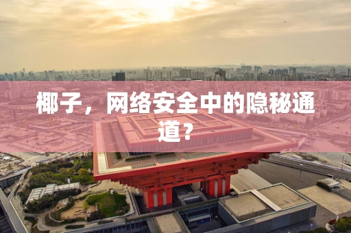 椰子，网络安全中的隐秘通道？