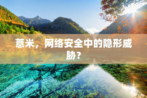 薏米，网络安全中的隐形威胁？