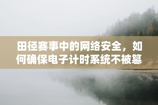 田径赛事中的网络安全，如何确保电子计时系统不被篡改？