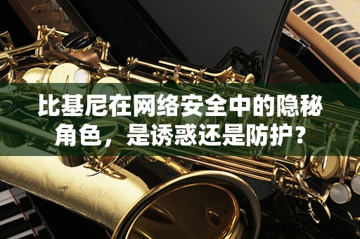 比基尼在网络安全中的隐秘角色，是诱惑还是防护？
