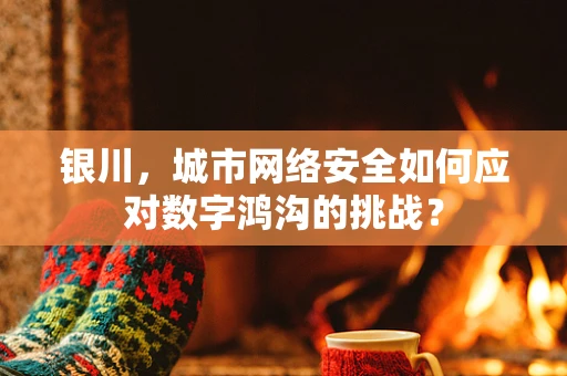 银川，城市网络安全如何应对数字鸿沟的挑战？