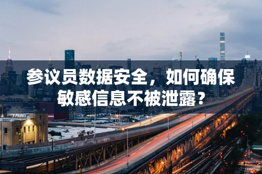 参议员数据安全，如何确保敏感信息不被泄露？