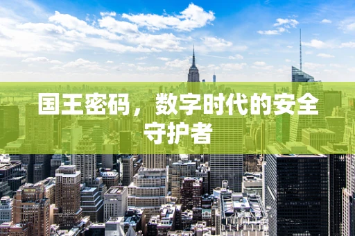 国王密码，数字时代的安全守护者