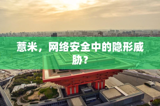 薏米，网络安全中的隐形威胁？