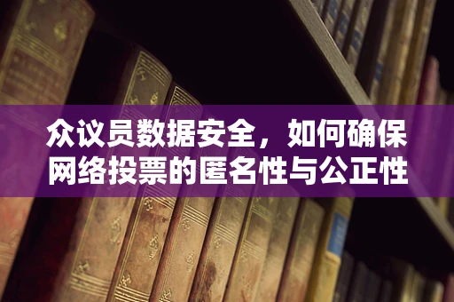 众议员数据安全，如何确保网络投票的匿名性与公正性？