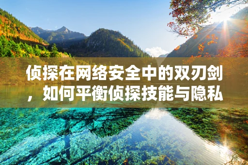 侦探在网络安全中的双刃剑，如何平衡侦探技能与隐私保护？