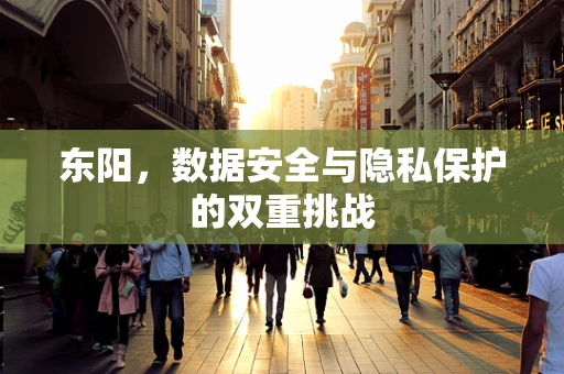 东阳，数据安全与隐私保护的双重挑战