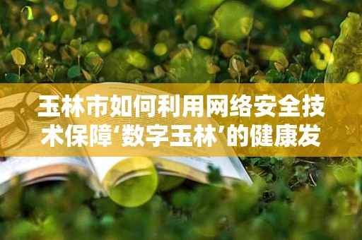 玉林市如何利用网络安全技术保障‘数字玉林’的健康发展？