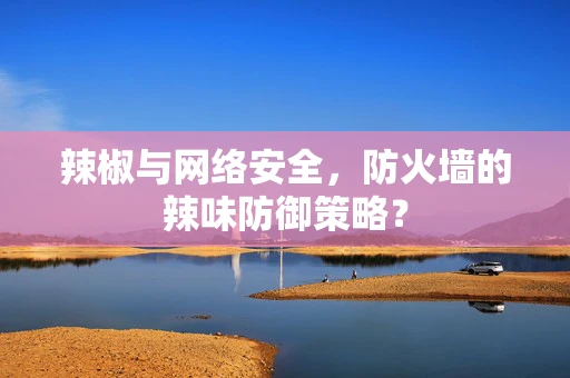 辣椒与网络安全，防火墙的辣味防御策略？