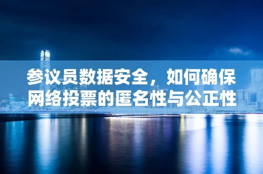 参议员数据安全，如何确保网络投票的匿名性与公正性？