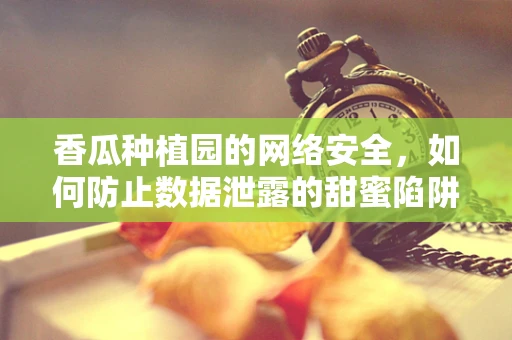 香瓜种植园的网络安全，如何防止数据泄露的甜蜜陷阱？