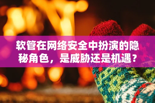 软管在网络安全中扮演的隐秘角色，是威胁还是机遇？