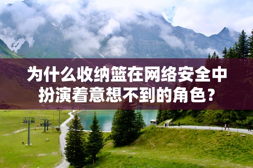 为什么收纳篮在网络安全中扮演着意想不到的角色？