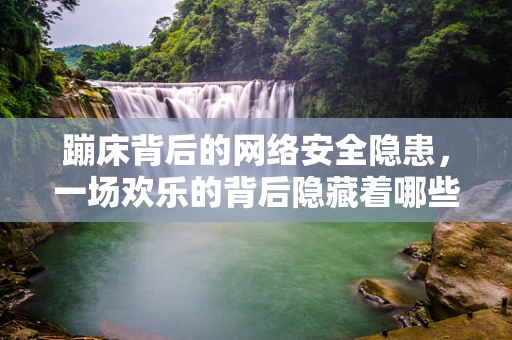 蹦床背后的网络安全隐患，一场欢乐的背后隐藏着哪些未知风险？