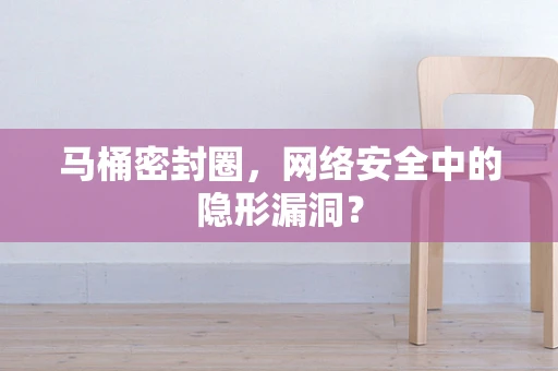 马桶密封圈，网络安全中的隐形漏洞？