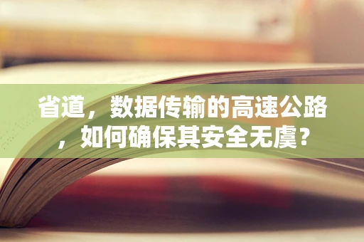 省道，数据传输的高速公路，如何确保其安全无虞？