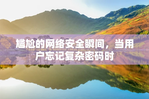 尴尬的网络安全瞬间，当用户忘记复杂密码时