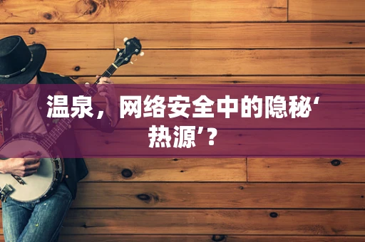 温泉，网络安全中的隐秘‘热源’？