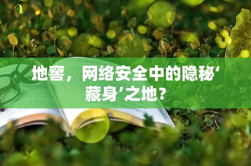 地窖，网络安全中的隐秘‘藏身’之地？