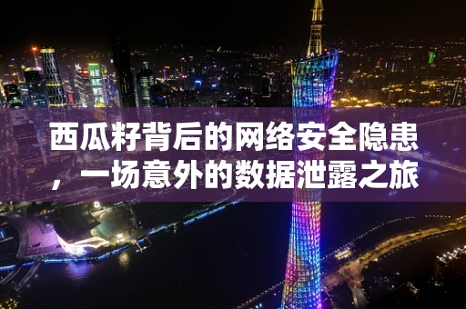 西瓜籽背后的网络安全隐患，一场意外的数据泄露之旅？